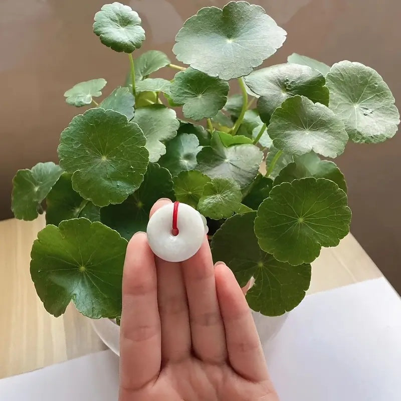 Peace Donut Healing Crystal Jadeite,Circle Coin Shaped Stone Pendant Adjustable Braided Cord Necklace For Inner Peace