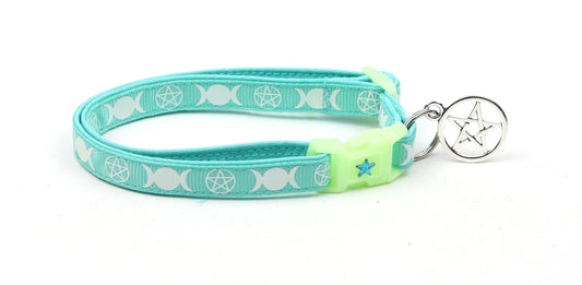 Witch's Familiar on Aqua Cat Collar