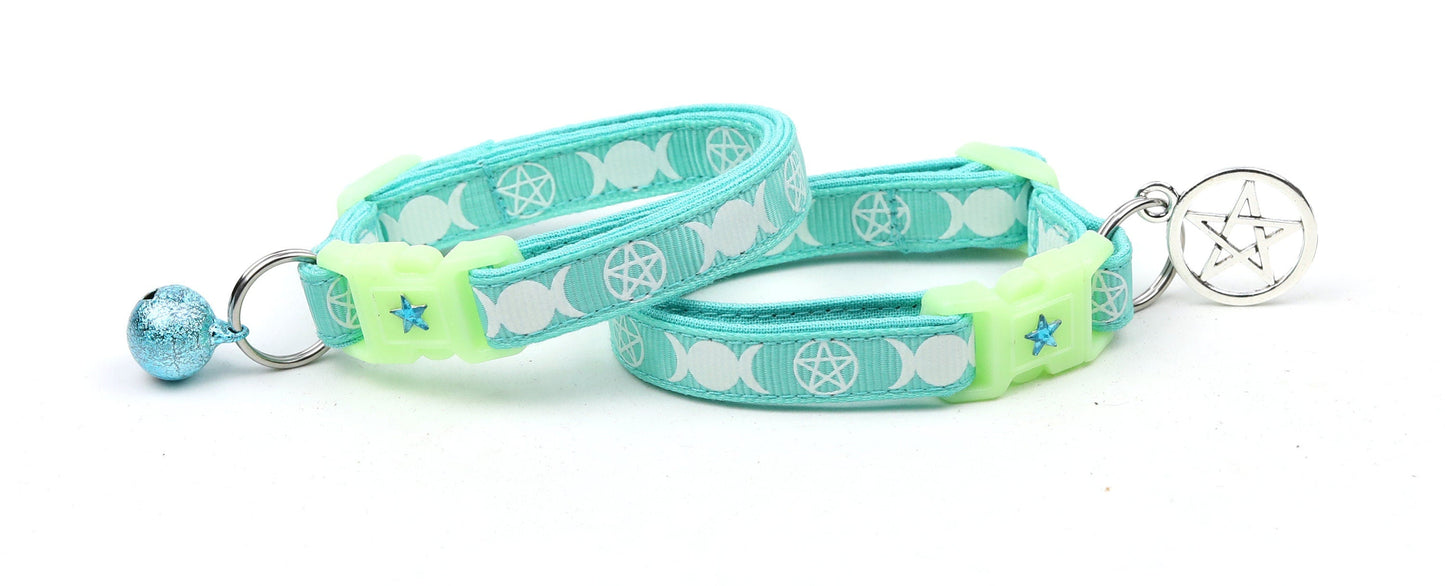 Witch's Familiar on Aqua Cat Collar