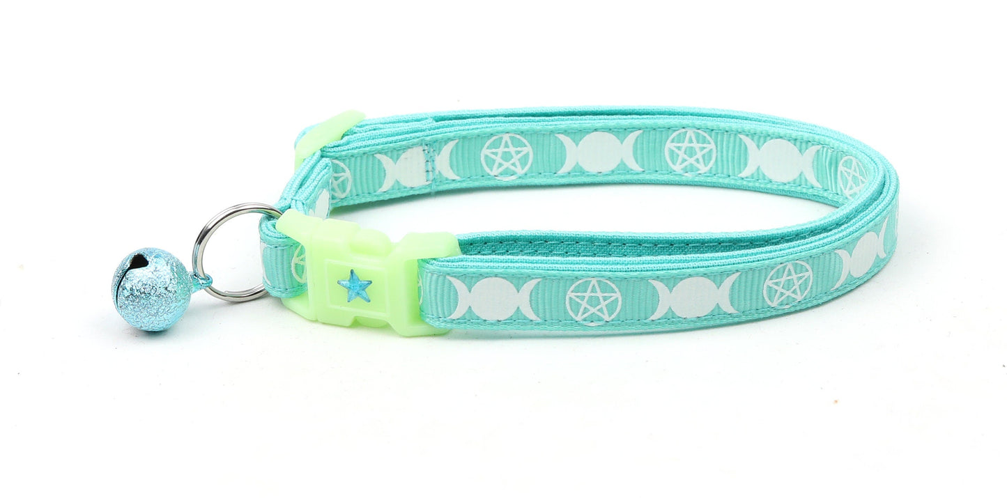 Witch's Familiar on Aqua Cat Collar